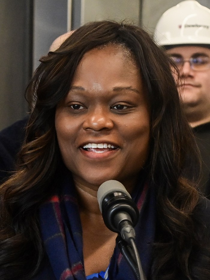 Rodneyse Bichotte Hermelyn