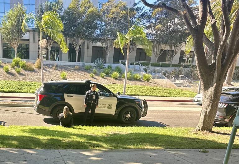 Santa Ana police officer detaining ICE watcher Madison Crabill, seated on the curb